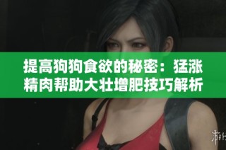 提高狗狗食欲的秘密：猛涨精肉帮助大壮增肥技巧解析