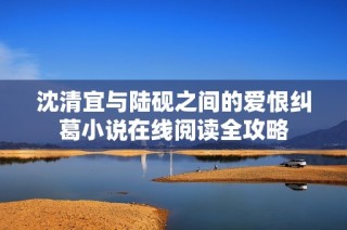 沈清宜与陆砚之间的爱恨纠葛小说在线阅读全攻略