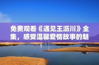 免费观看《遇见王沥川》全集，感受温馨爱情故事的魅力