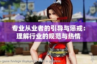 专业从业者的引导与惩戒：理解行业的规范与热情