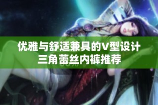 优雅与舒适兼具的V型设计三角蕾丝内裤推荐