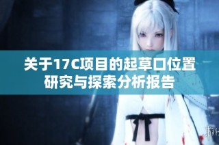 关于17C项目的起草口位置研究与探索分析报告