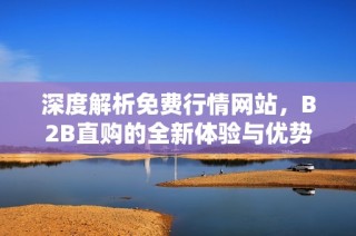 深度解析免费行情网站，B2B直购的全新体验与优势