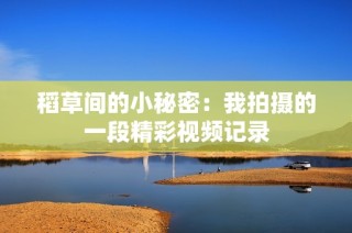 稻草间的小秘密：我拍摄的一段精彩视频记录