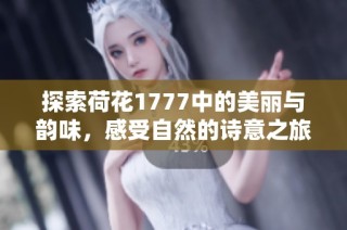探索荷花1777中的美丽与韵味，感受自然的诗意之旅