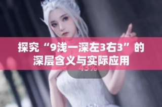 探究“9浅一深左3右3”的深层含义与实际应用