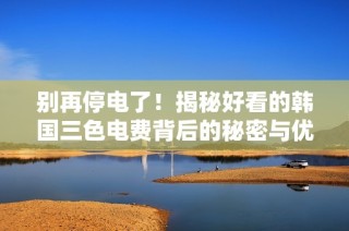 别再停电了！揭秘好看的韩国三色电费背后的秘密与优势