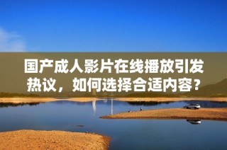 国产成人影片在线播放引发热议，如何选择合适内容？