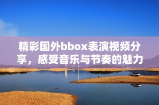精彩国外bbox表演视频分享，感受音乐与节奏的魅力