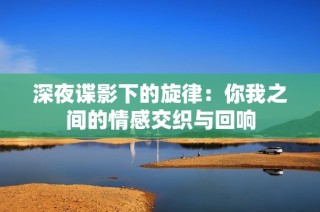 深夜谍影下的旋律：你我之间的情感交织与回响