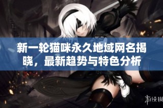 新一轮猫咪永久地域网名揭晓，最新趋势与特色分析