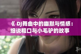 《 DJ舞曲中的幽默与情感：细说粗口与小毛驴的故事 》