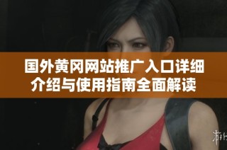 国外黄冈网站推广入口详细介绍与使用指南全面解读