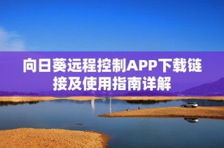 向日葵远程控制APP下载链接及使用指南详解