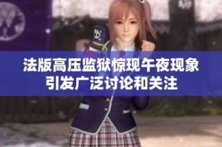 法版高压监狱惊现午夜现象引发广泛讨论和关注