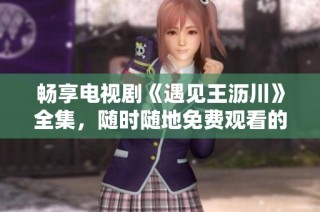 畅享电视剧《遇见王沥川》全集，随时随地免费观看的最佳选择