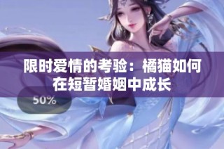 限时爱情的考验：橘猫如何在短暂婚姻中成长