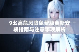 9幺高危风险免费版全新安装指南与注意事项解析