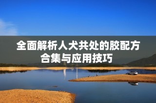 全面解析人犬共处的胶配方合集与应用技巧 