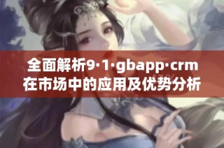 全面解析9·1·gbapp·crm在市场中的应用及优势分析