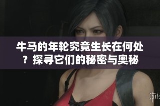 牛马的年轮究竟生长在何处？探寻它们的秘密与奥秘