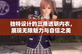 独特设计的三角透明内衣，展现无限魅力与自信之美