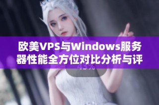 欧美VPS与Windows服务器性能全方位对比分析与评估