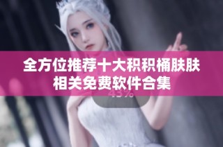 全方位推荐十大积积桶肤肤相关免费软件合集
