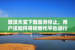 禁漫天堂下载服务停止，用户该如何寻找替代平台进行漫画阅读