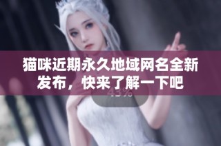 猫咪近期永久地域网名全新发布，快来了解一下吧