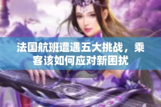 法国航班遭遇五大挑战，乘客该如何应对新困扰