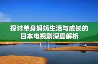 探讨单身妈妈生活与成长的日本电视剧深度解析