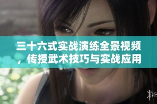 三十六式实战演练全景视频，传授武术技巧与实战应用