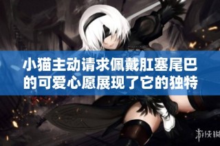 小猫主动请求佩戴肛塞尾巴的可爱心愿展现了它的独特魅力
