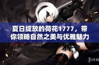 夏日绽放的荷花1777，带你领略自然之美与优雅魅力