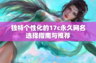 独特个性化的17c永久网名选择指南与推荐