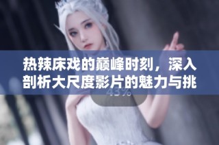 热辣床戏的巅峰时刻，深入剖析大尺度影片的魅力与挑战
