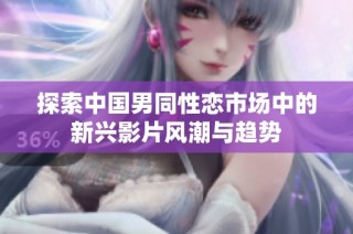 探索中国男同性恋市场中的新兴影片风潮与趋势