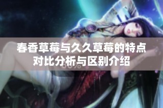 春香草莓与久久草莓的特点对比分析与区别介绍