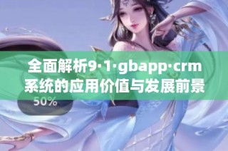 全面解析9·1·gbapp·crm系统的应用价值与发展前景