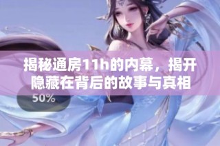 揭秘通房11h的内幕，揭开隐藏在背后的故事与真相