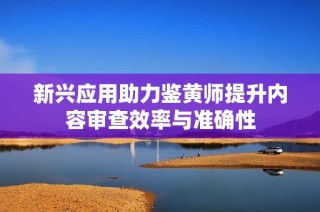 新兴应用助力鉴黄师提升内容审查效率与准确性