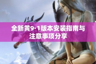 全新黄9·1版本安装指南与注意事项分享