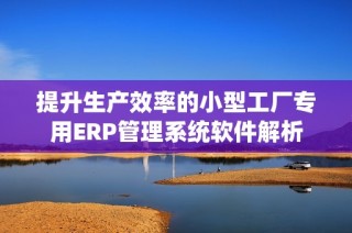 提升生产效率的小型工厂专用ERP管理系统软件解析