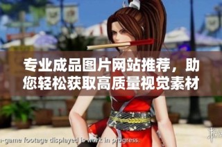 专业成品图片网站推荐，助您轻松获取高质量视觉素材