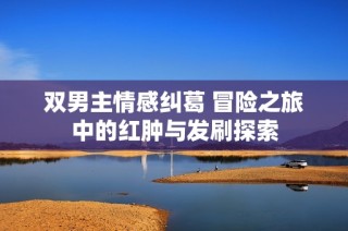 双男主情感纠葛 冒险之旅中的红肿与发刷探索