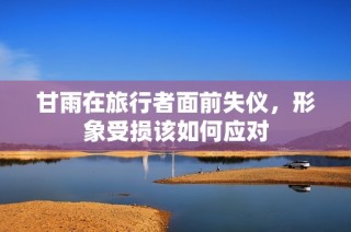 甘雨在旅行者面前失仪，形象受损该如何应对