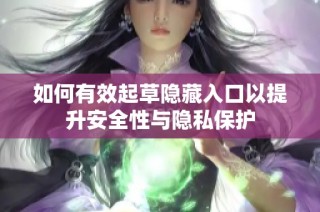 如何有效起草隐藏入口以提升安全性与隐私保护