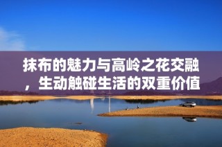 抹布的魅力与高岭之花交融，生动触碰生活的双重价值