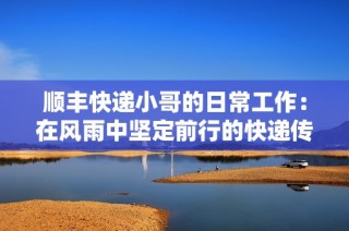 顺丰快递小哥的日常工作：在风雨中坚定前行的快递传奇